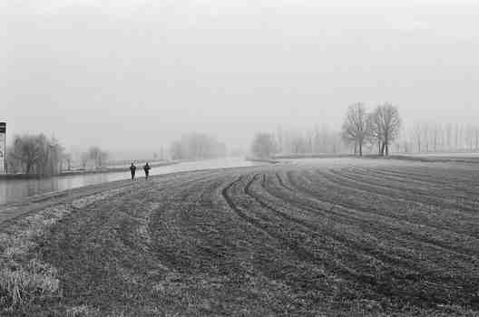 black, and, white, field